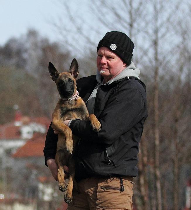 Nalle